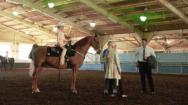 Indoor equestrian event with a mounted rider & 2 officials