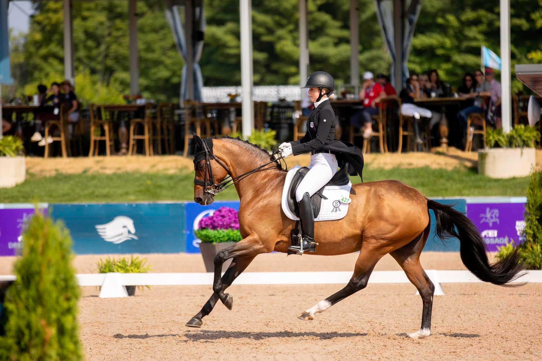 Photo showcasing the 2024 FEI North American Youth Championships