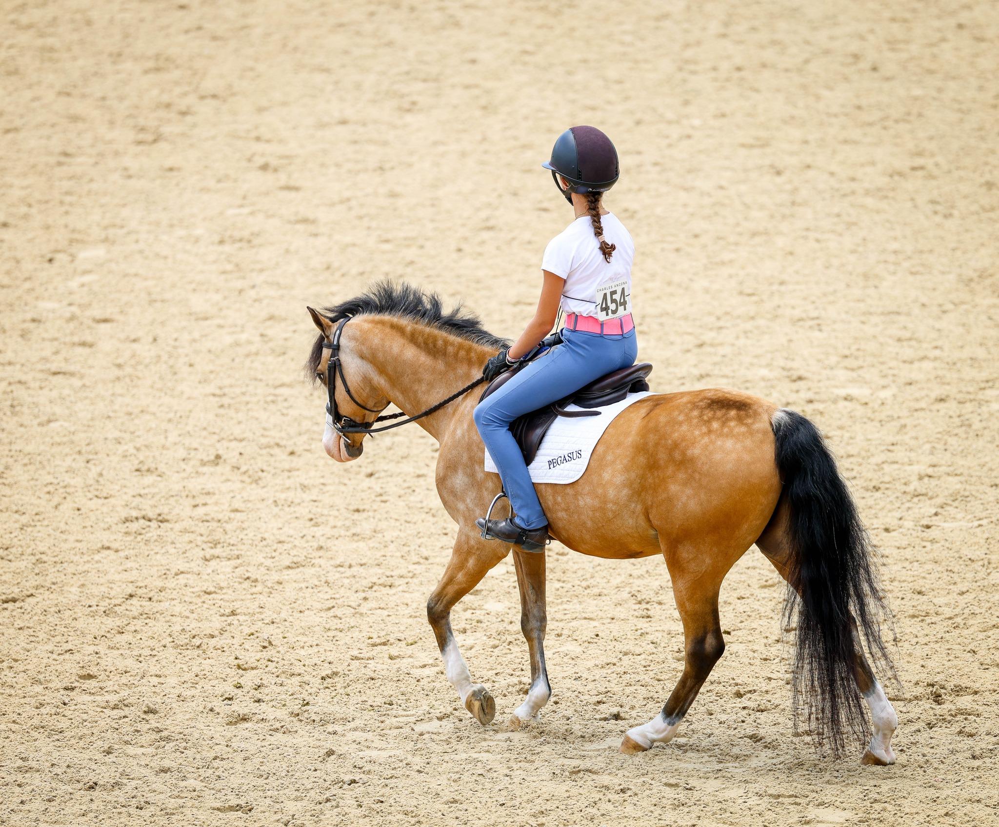 Photo showcasing the USEF Pony Finals presented by Marshall + Sterling