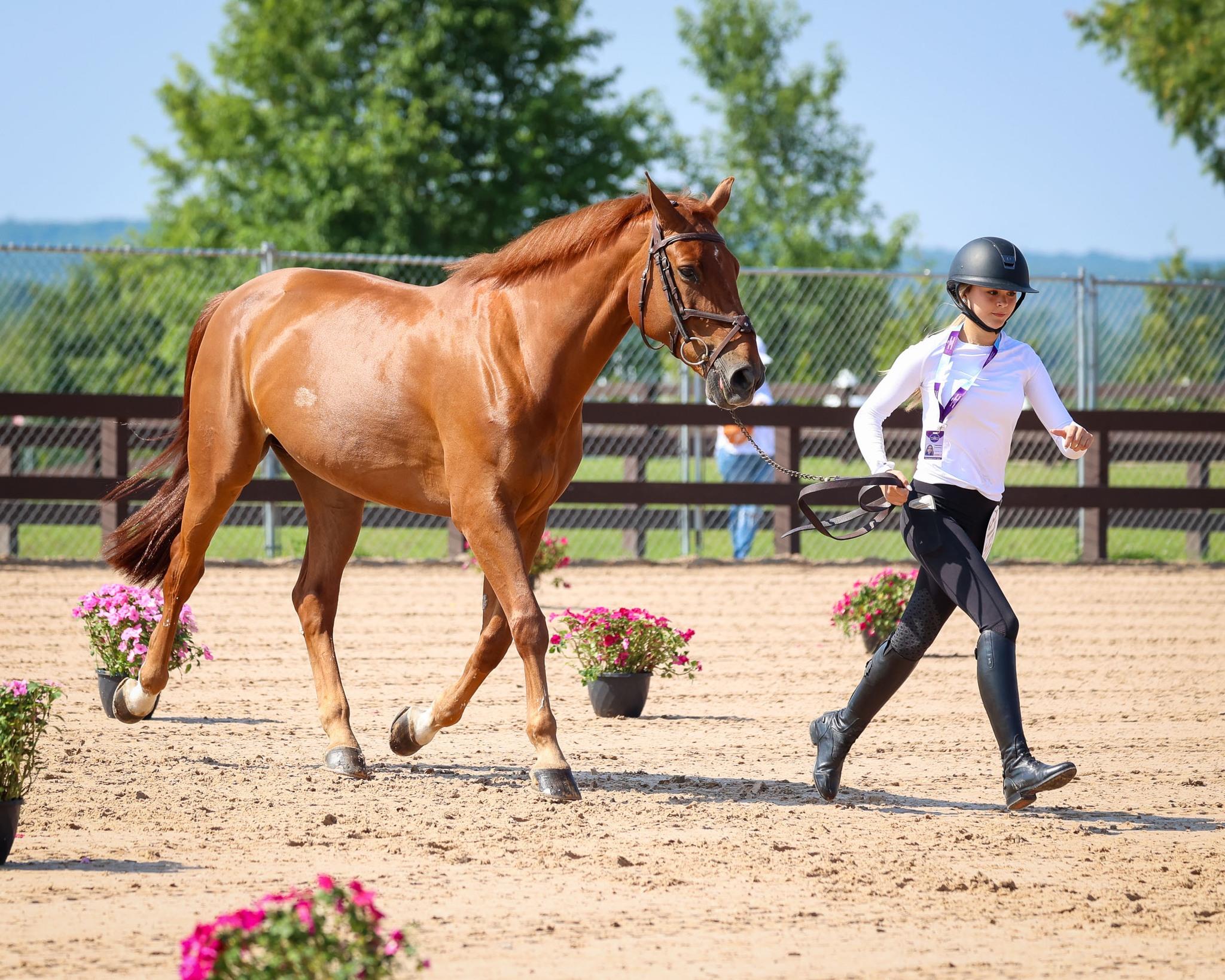 Photo showcasing the 2024 FEI North American Youth Championships