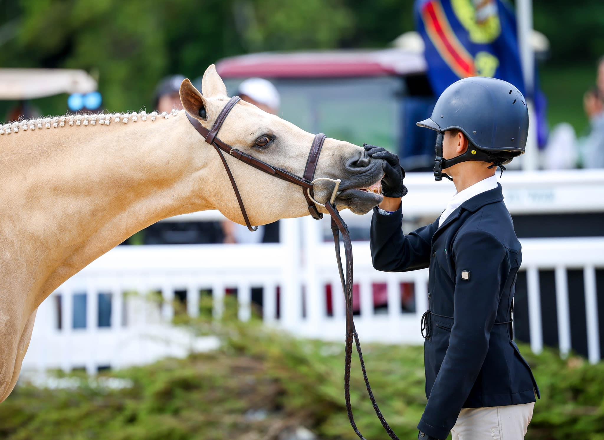 Photo showcasing the USEF Pony Finals presented by Marshall + Sterling