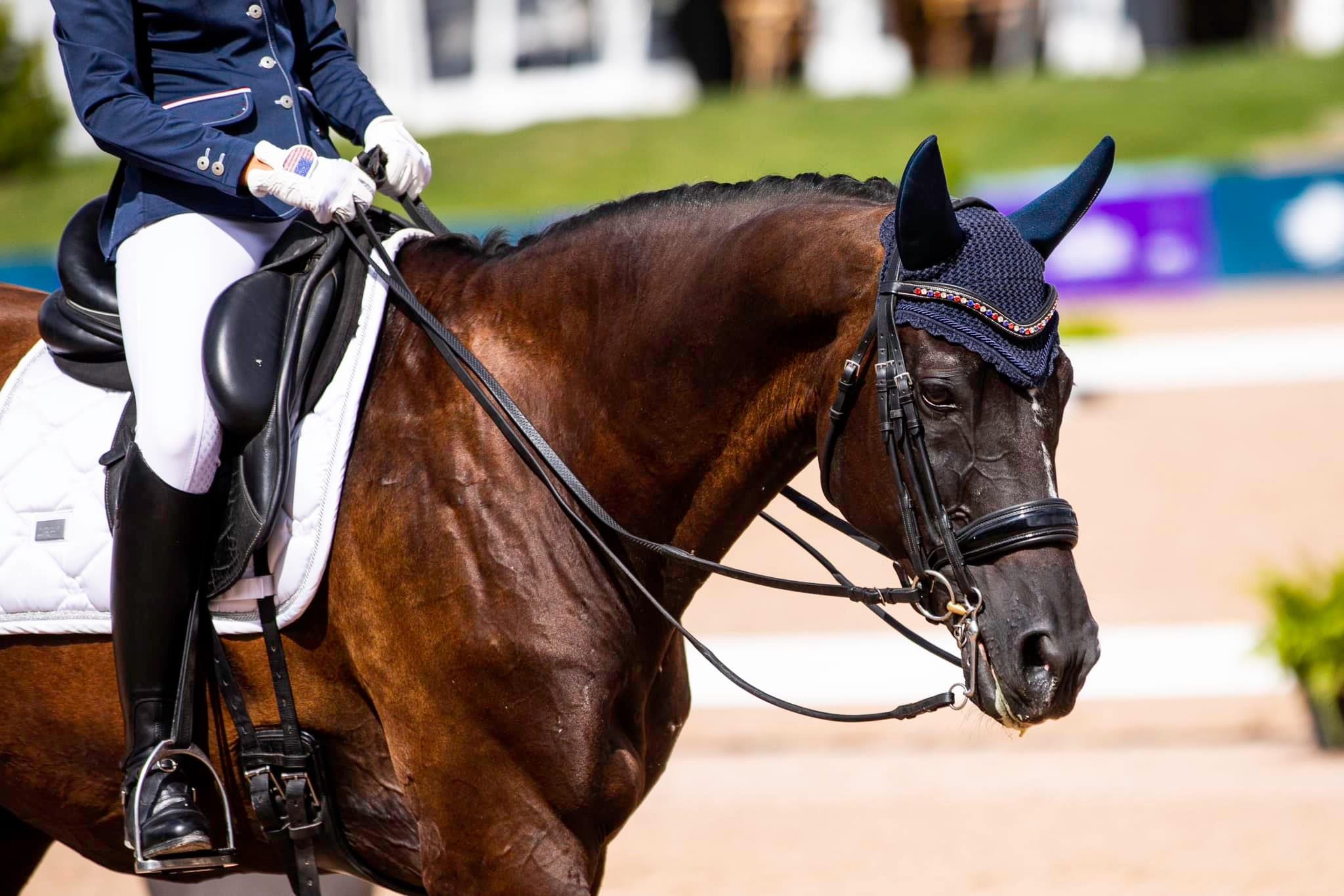 Photo showcasing the 2024 FEI North American Youth Championships