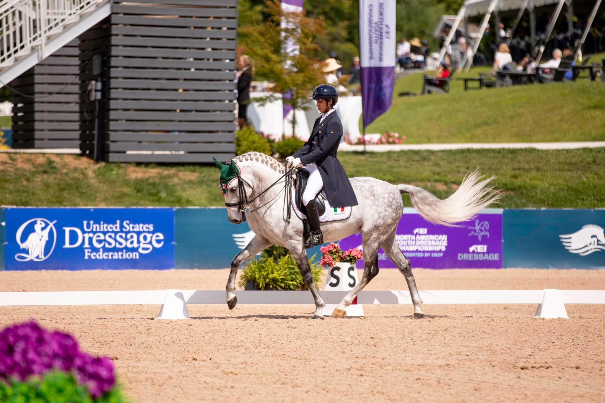 Photo showcasing the 2024 FEI North American Youth Championships