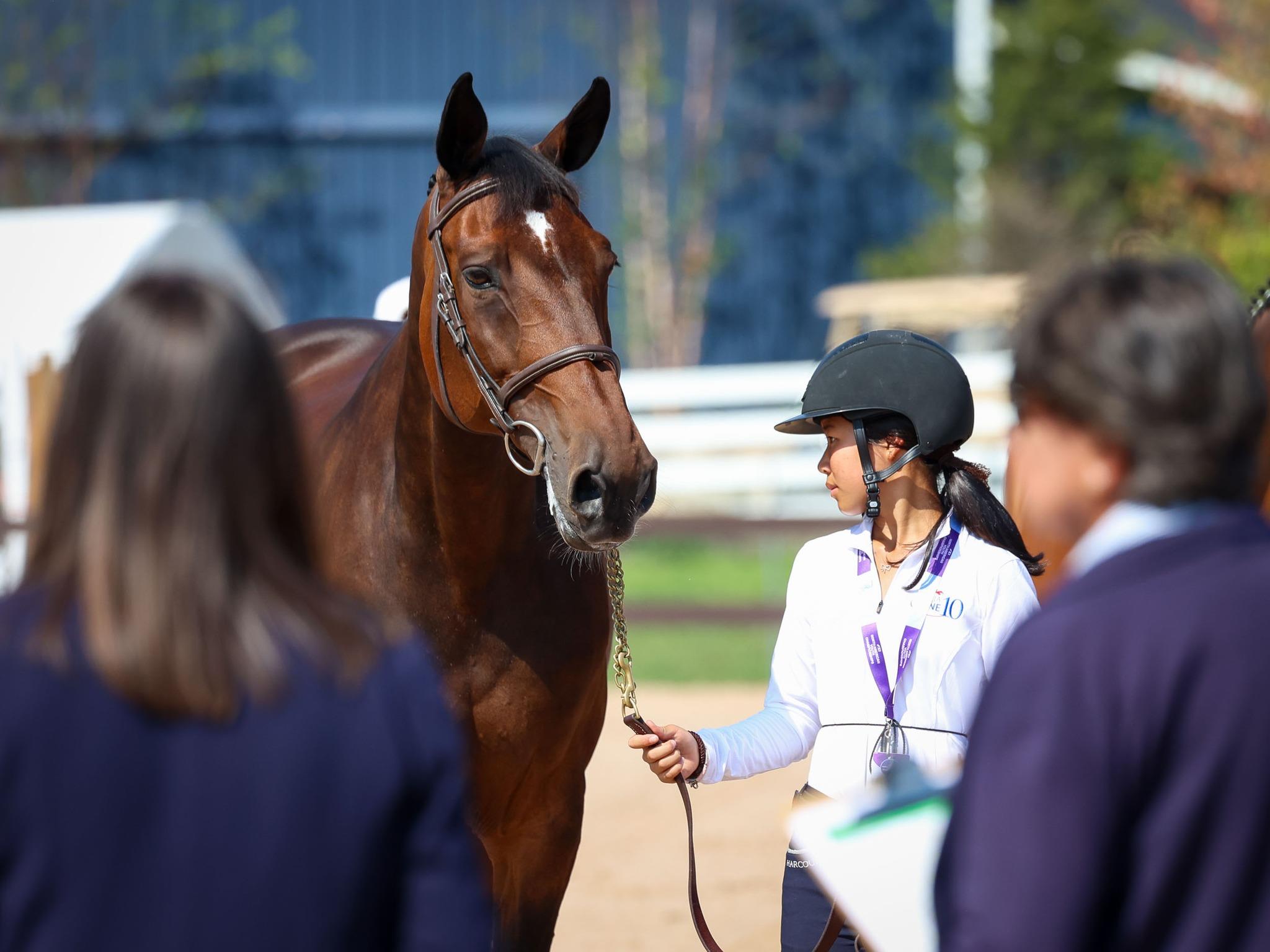 Photo showcasing the 2024 FEI North American Youth Championships