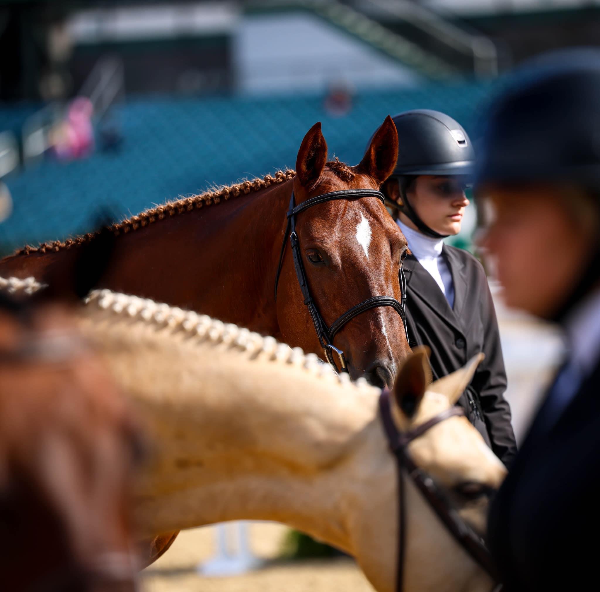 Photo showcasing the USEF Pony Finals presented by Marshall + Sterling