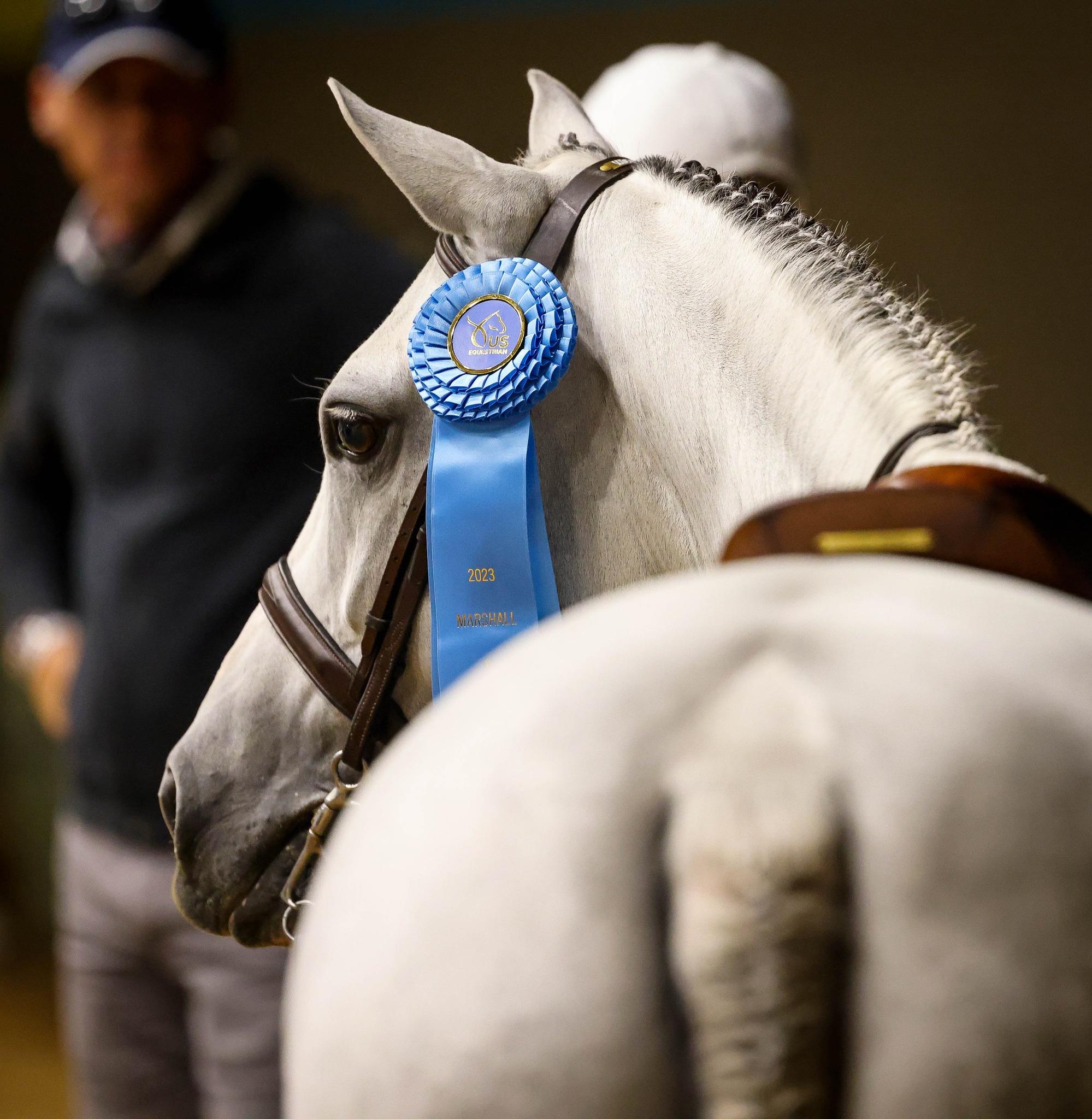 Photo showcasing the USEF Pony Finals presented by Marshall + Sterling