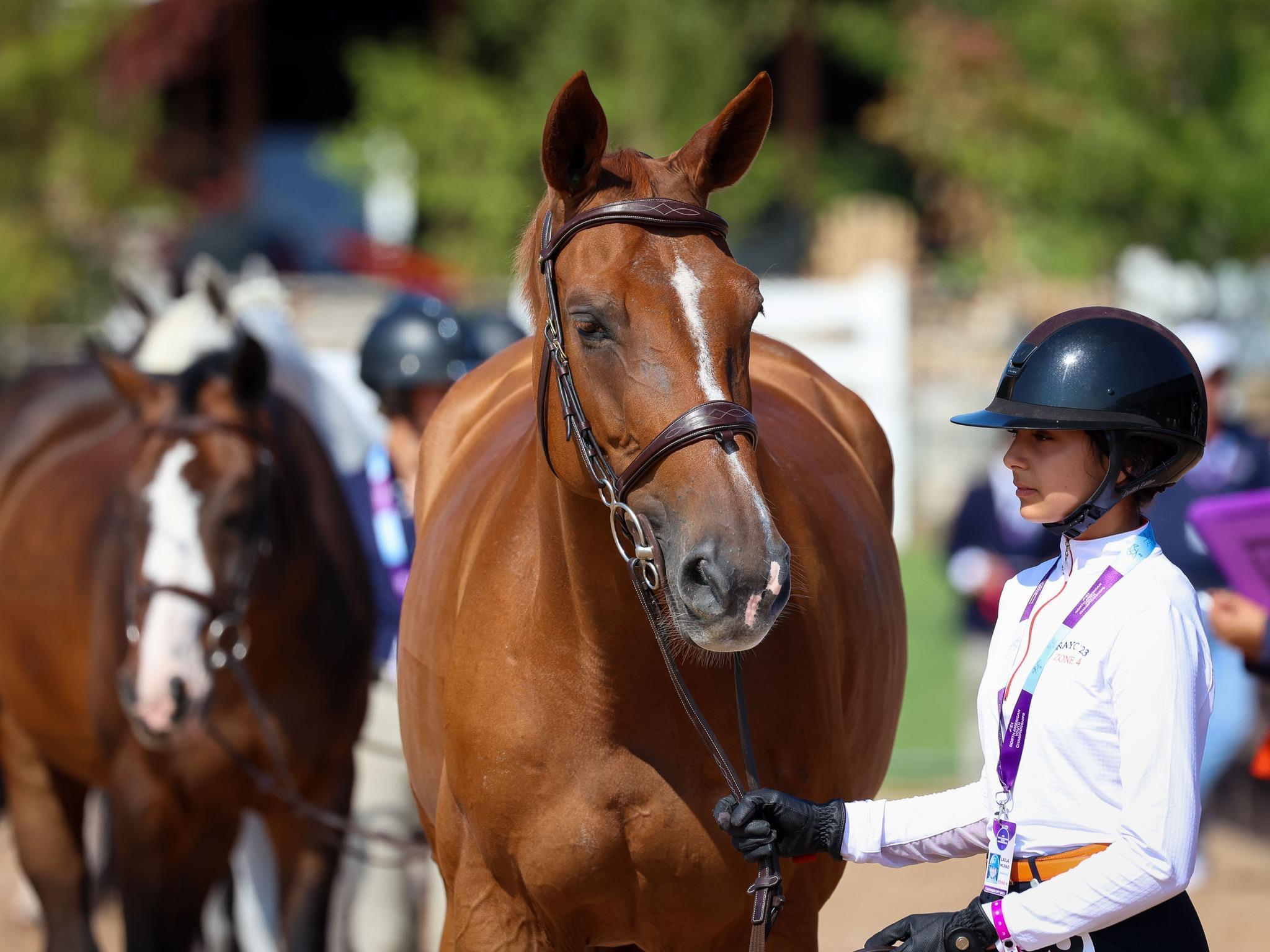 Photo showcasing the 2024 FEI North American Youth Championships