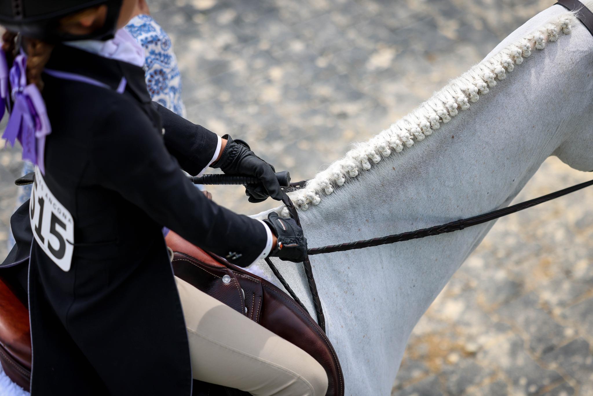 Photo showcasing the USEF Pony Finals presented by Marshall + Sterling