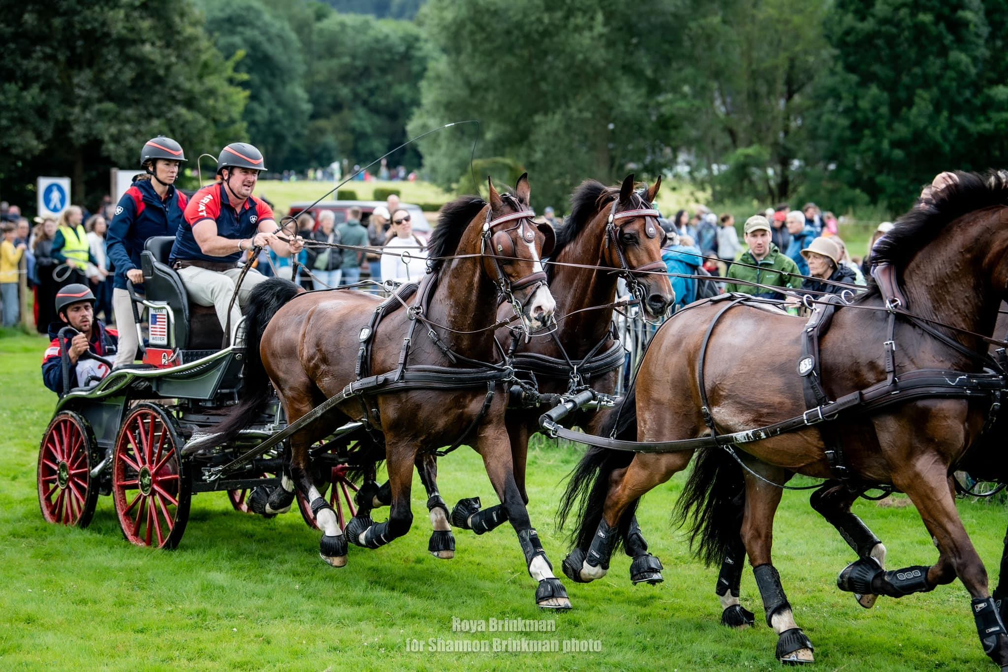 Photo showcasing the CHIO Aachen World Equestrian Festival