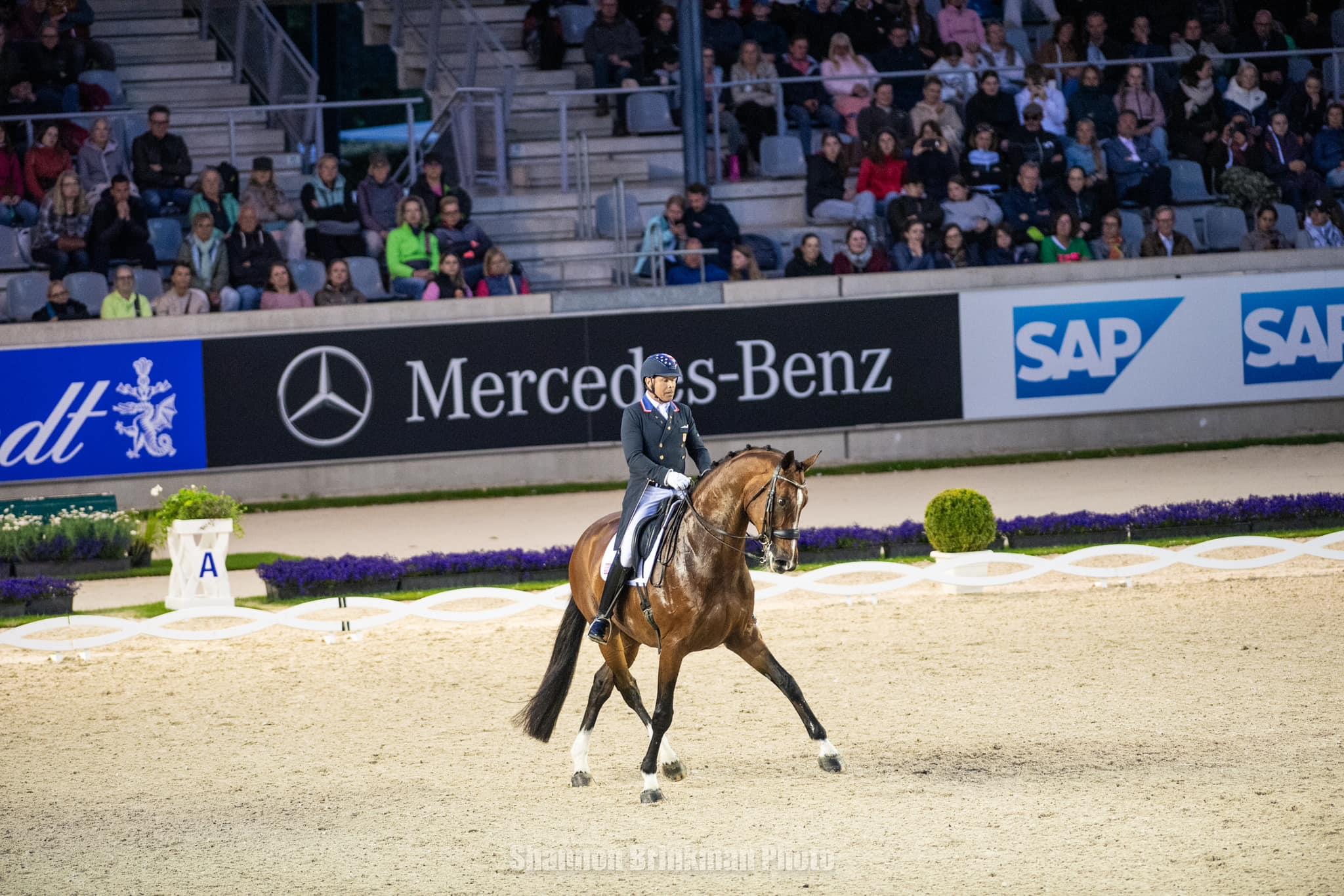 Photo showcasing the CHIO Aachen World Equestrian Festival