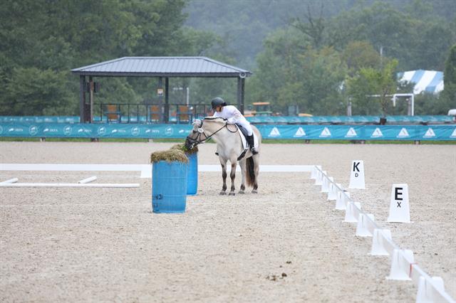 Photo showcasing the Dressage4Kids Brings Unlimited Opportunities to Young Riders