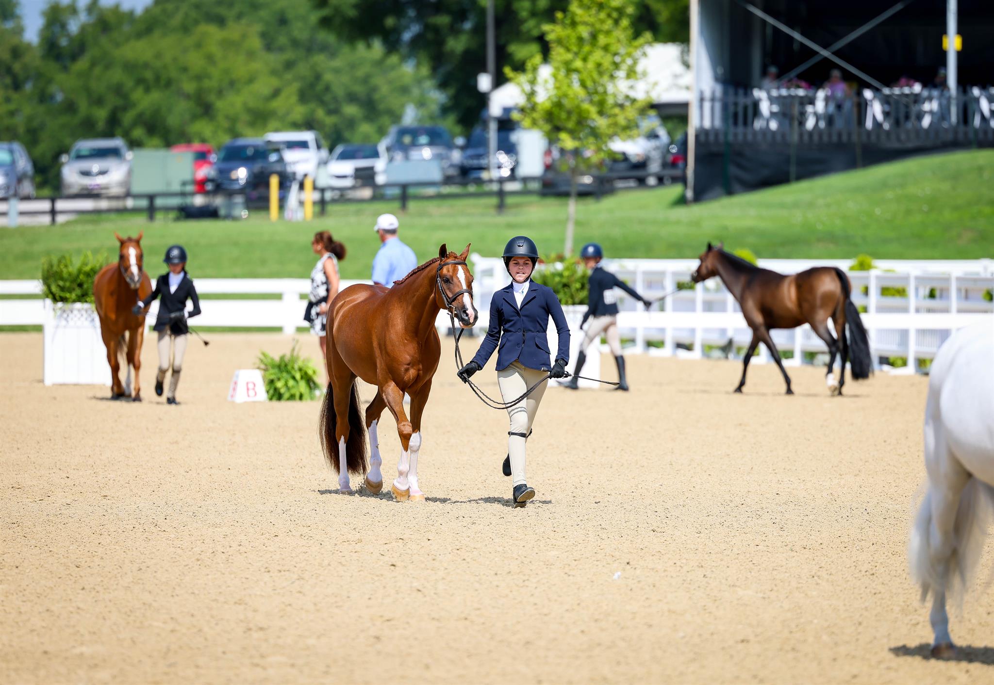 Photo showcasing the USEF Pony Finals presented by Marshall + Sterling