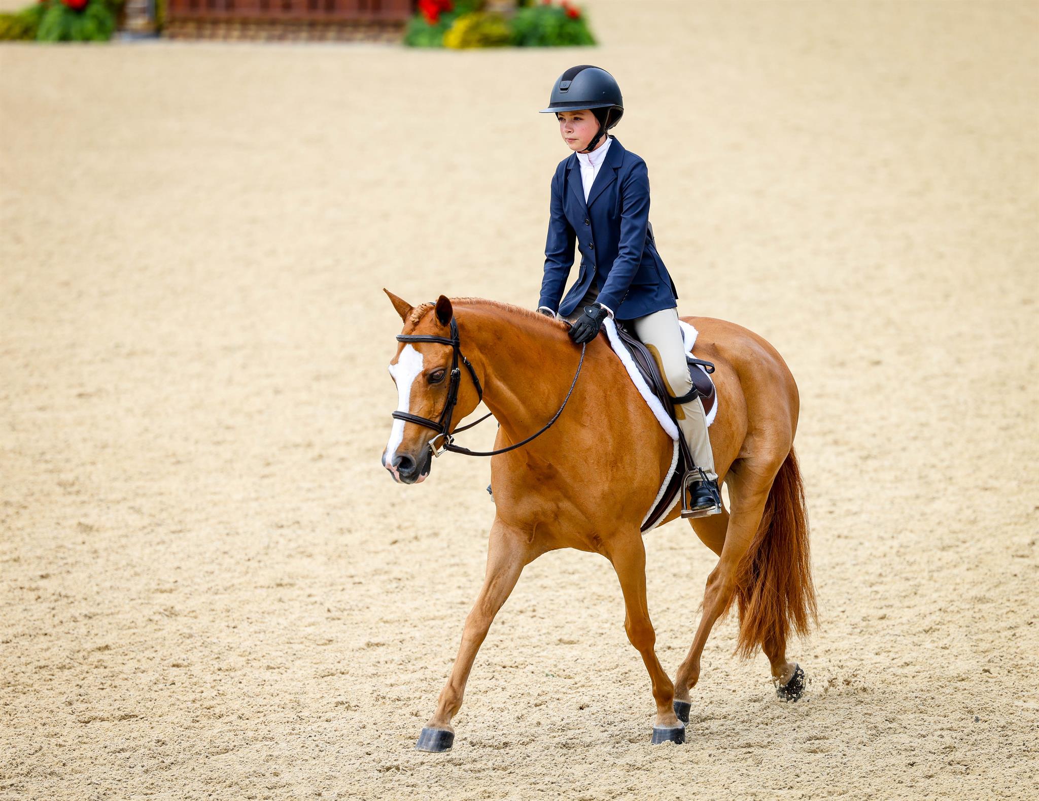 Photo showcasing the USEF Pony Finals presented by Marshall + Sterling