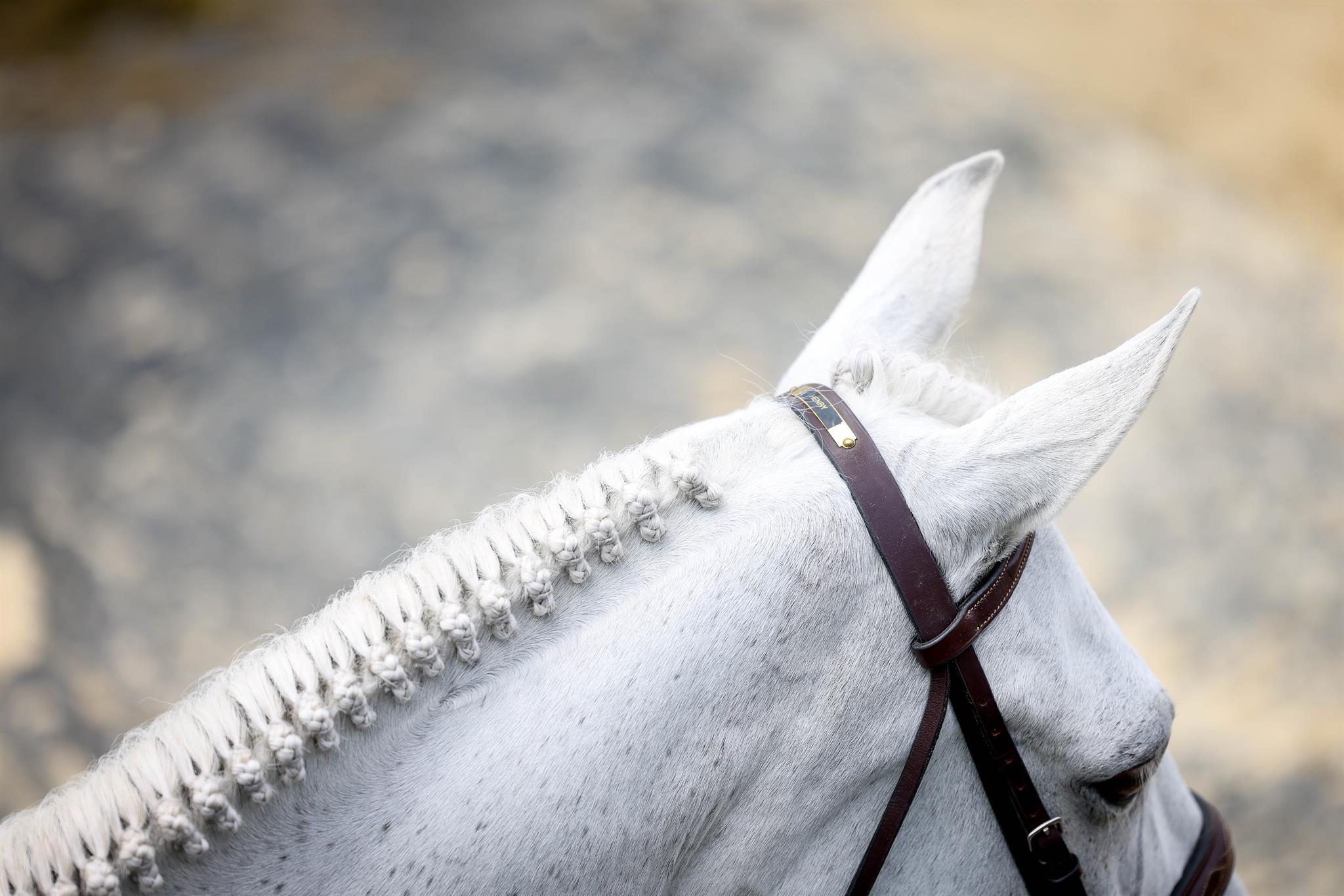 Photo showcasing the USEF Pony Finals presented by Marshall + Sterling