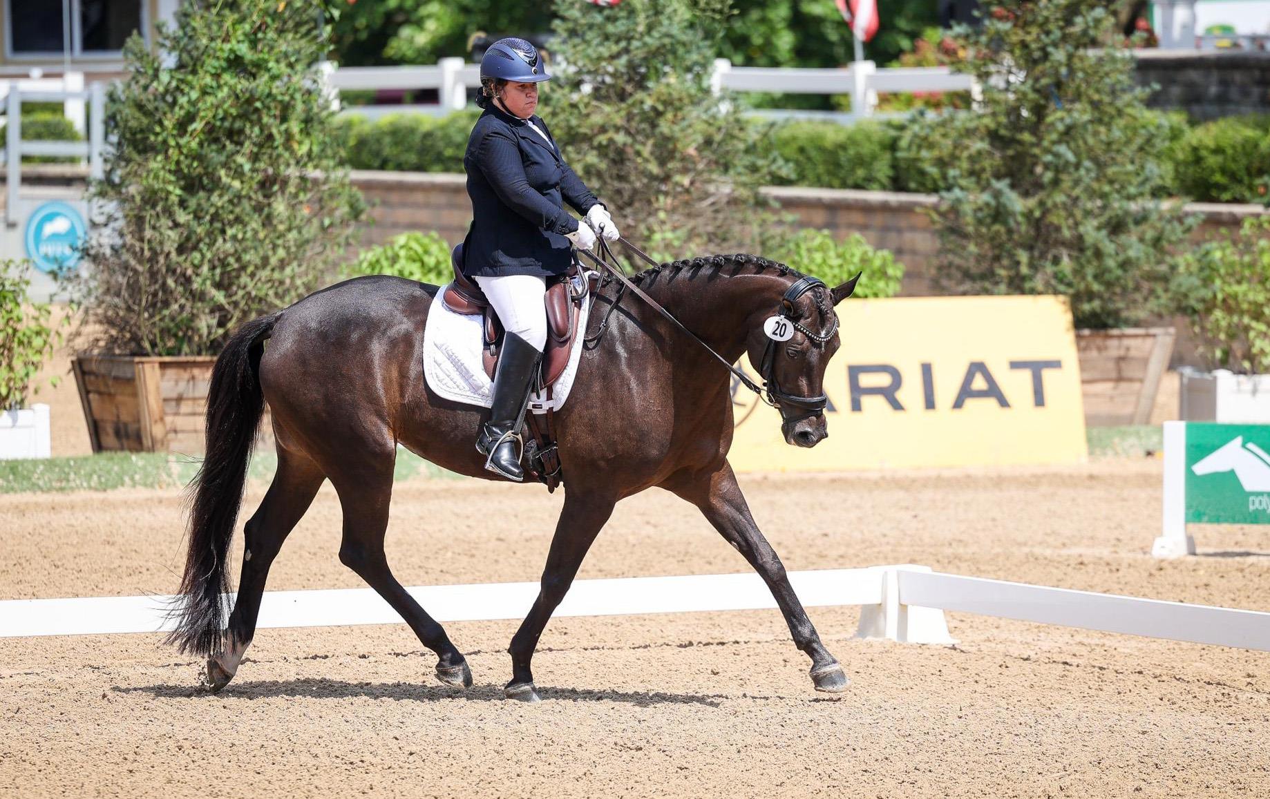 Photo showcasing the U.S. Dressage Festival of Champions