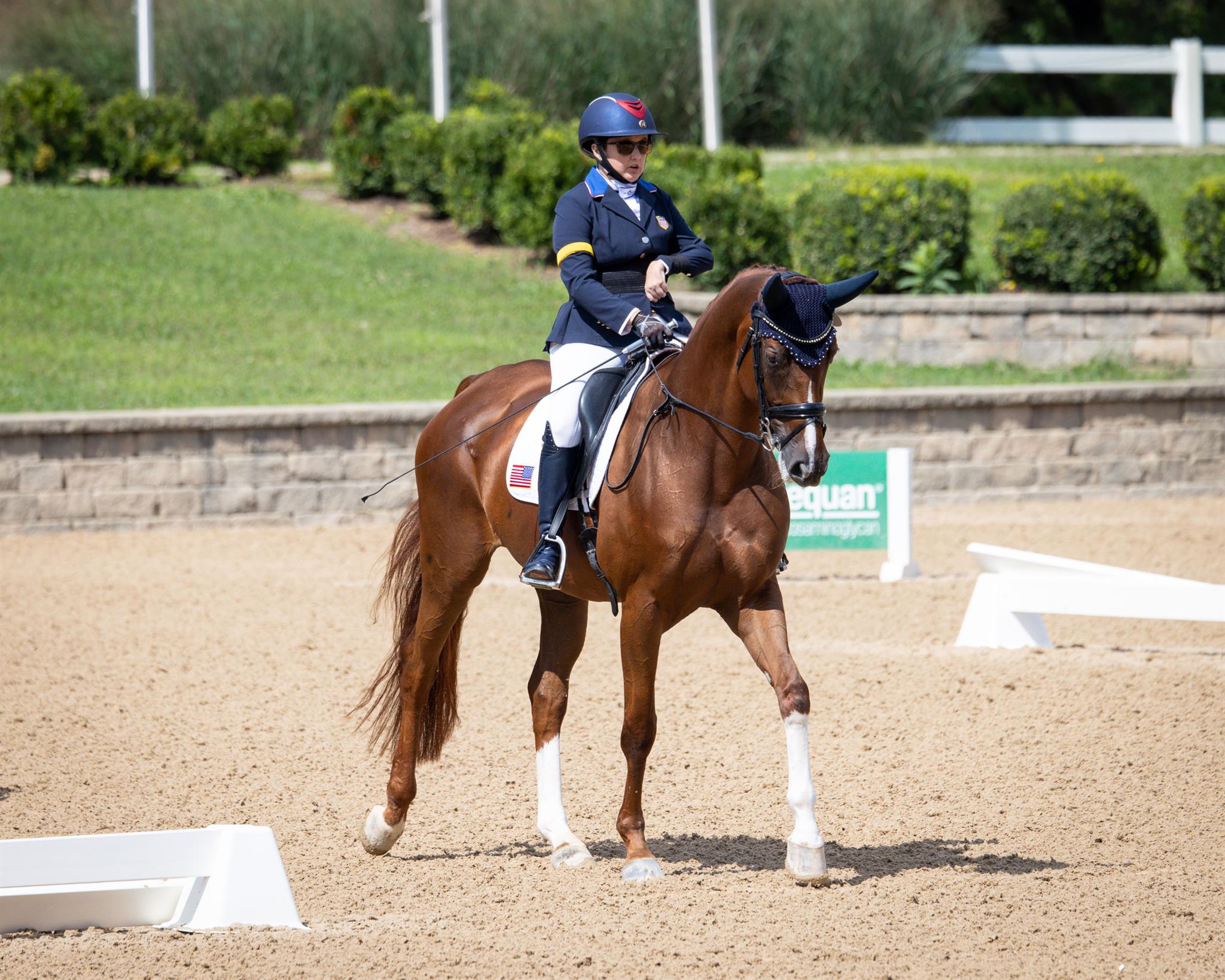 Photo showcasing the U.S. Dressage Festival of Champions