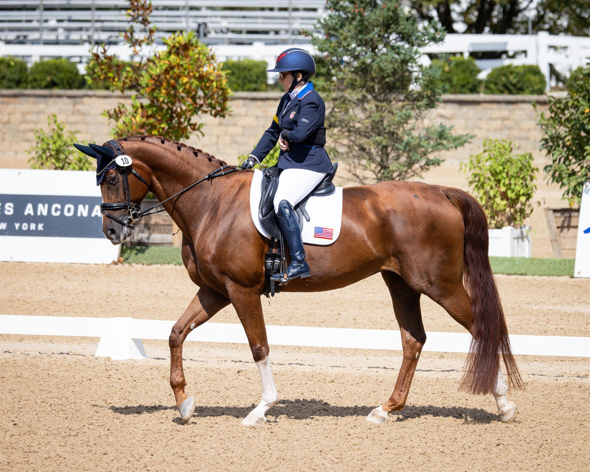 Photo showcasing the U.S. Dressage Festival of Champions