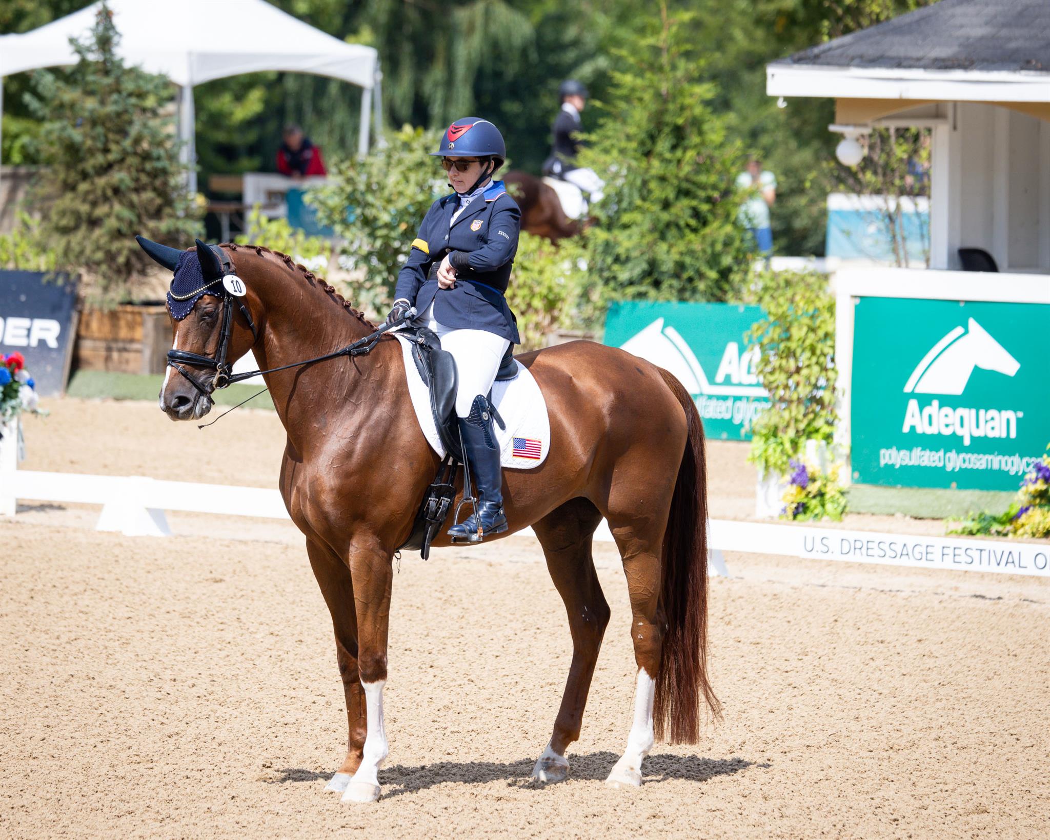 Photo showcasing the U.S. Dressage Festival of Champions