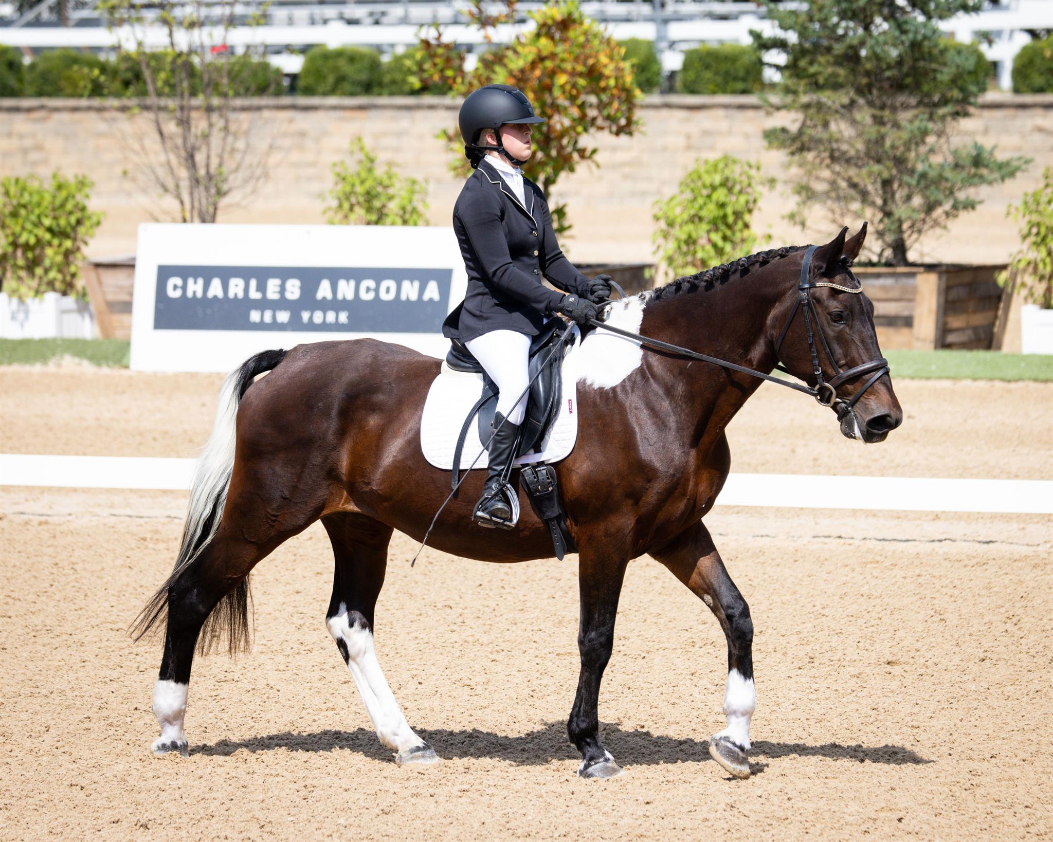Photo showcasing the U.S. Dressage Festival of Champions