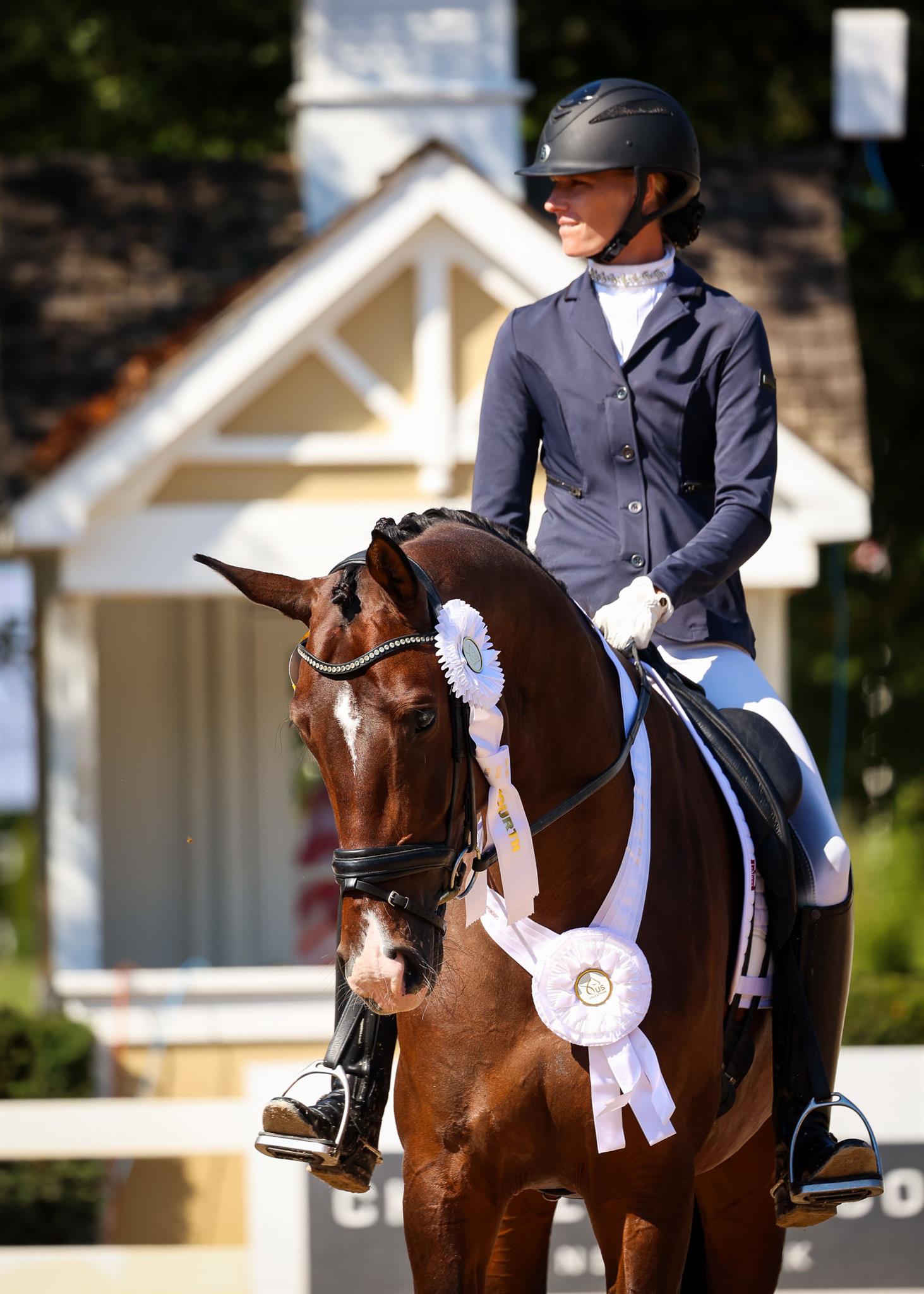 Photo showcasing the U.S. Dressage Festival of Champions