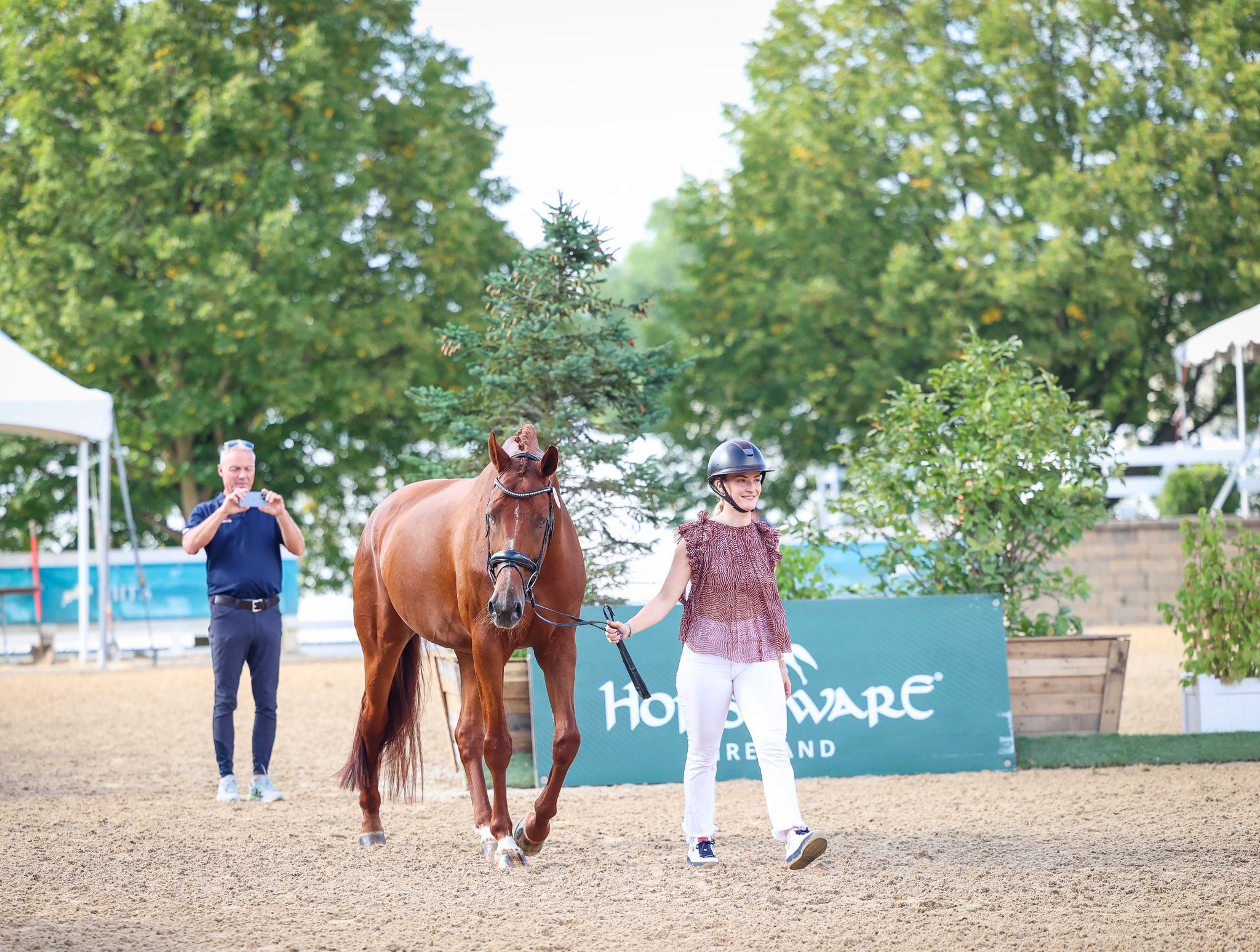 Photo showcasing the U.S. Dressage Festival of Champions