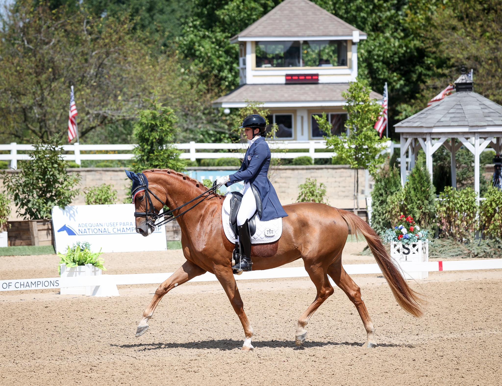 Photo showcasing the U.S. Dressage Festival of Champions